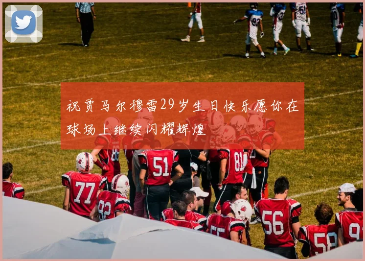 祝贾马尔穆雷29岁生日快乐愿你在球场上继续闪耀辉煌
