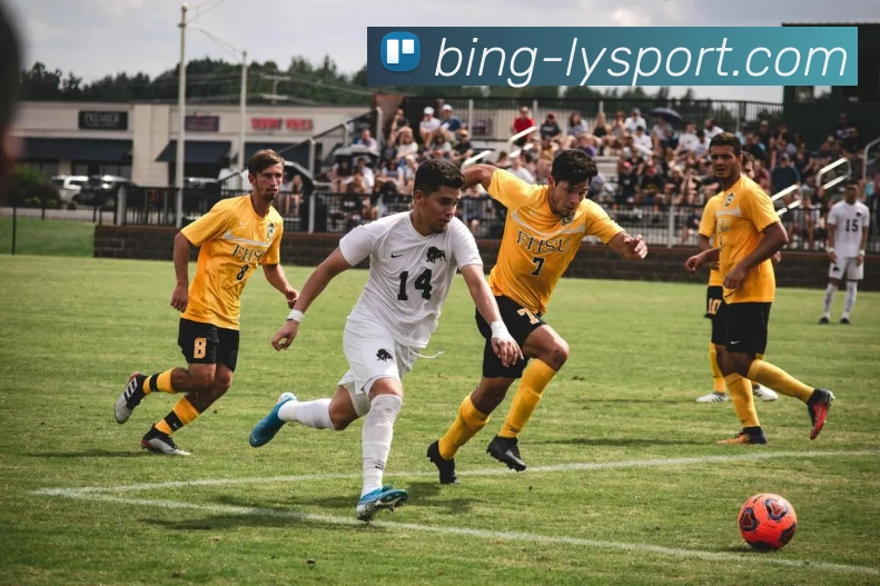 乐鱼体育平台生态图